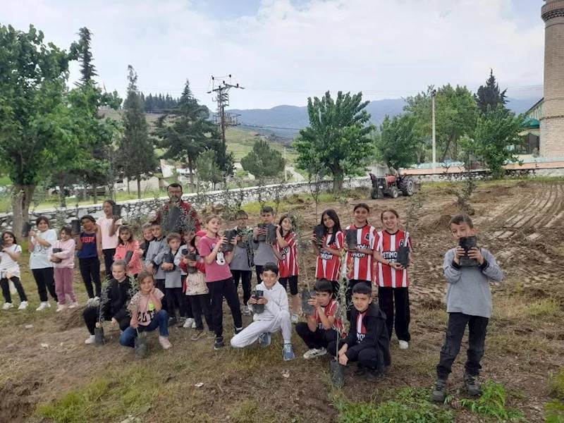 Minik eller okul bahçesine zeytin dikti

