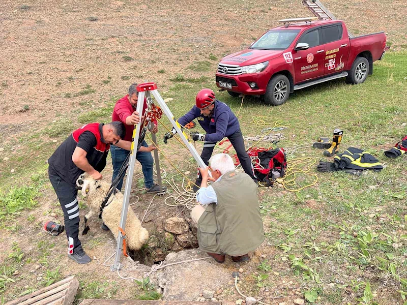İtfaiye ekipleri kuyuya düşen koyunu kurtardı

