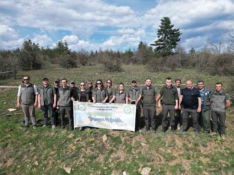 Kastamonu’da yaban hayatı için ormanlık alana fidan dikildi
