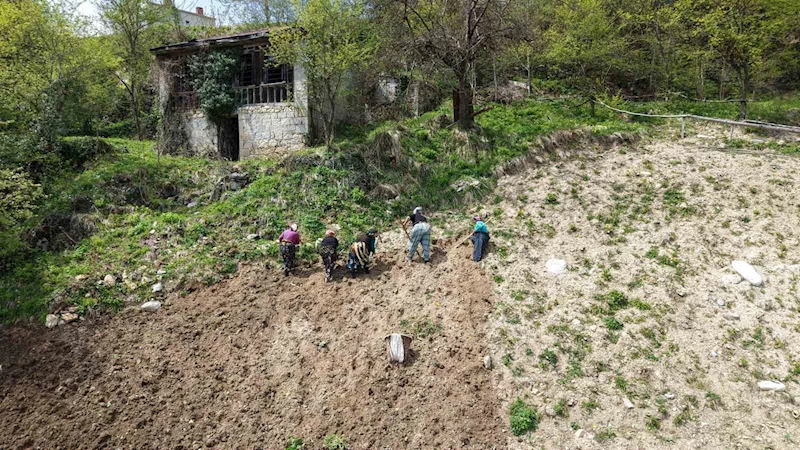 Karadeniz kadınının zorlu mesaisi başladı
