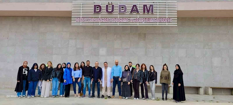 Deneysel çalışmalara kazandırıldı
