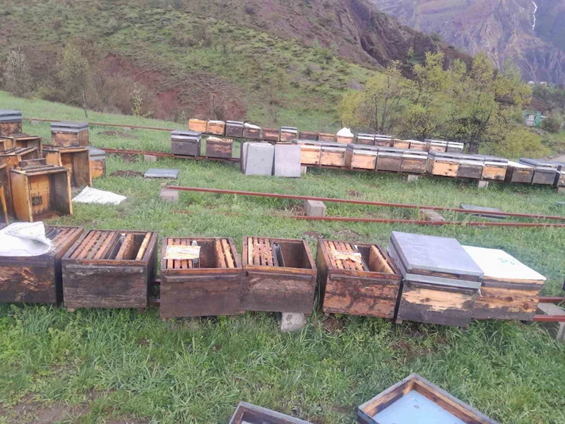 Tunceli Arı Yetiştiricileri Birliği Başkanı Doğan, 