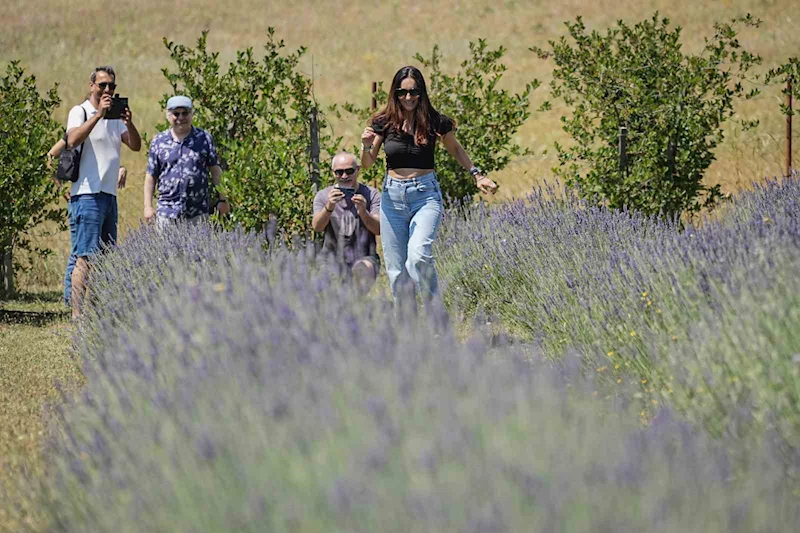 Doktorun tıbbi aromatik bahçesine yoğun ilgi
