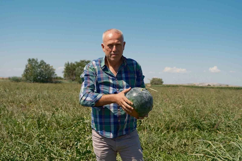 Sözleşmeli ekti 3 bin 500 ton karpuzu tarlada kaldı
